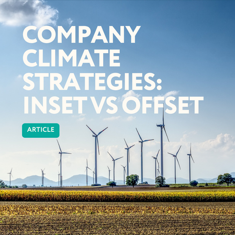 SustainCERT | Inset vs offset: company climate strategies explained