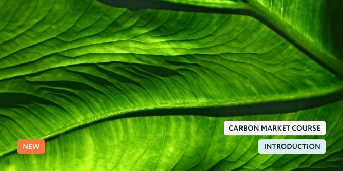 INTRODUCTION TO CARBON MARKETS FOR PROJECT DEVELOPERS